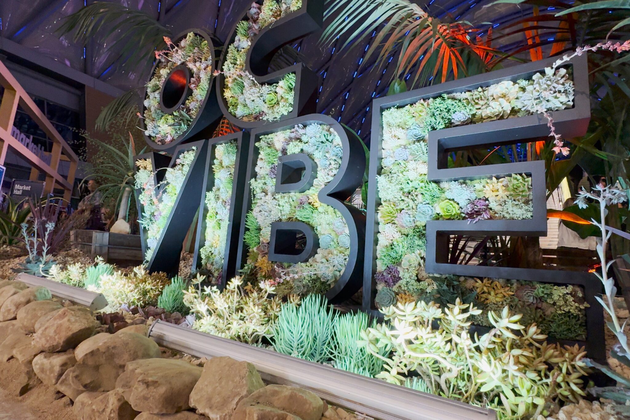 oc-vibe-succulentsign-1-1-2048x1365