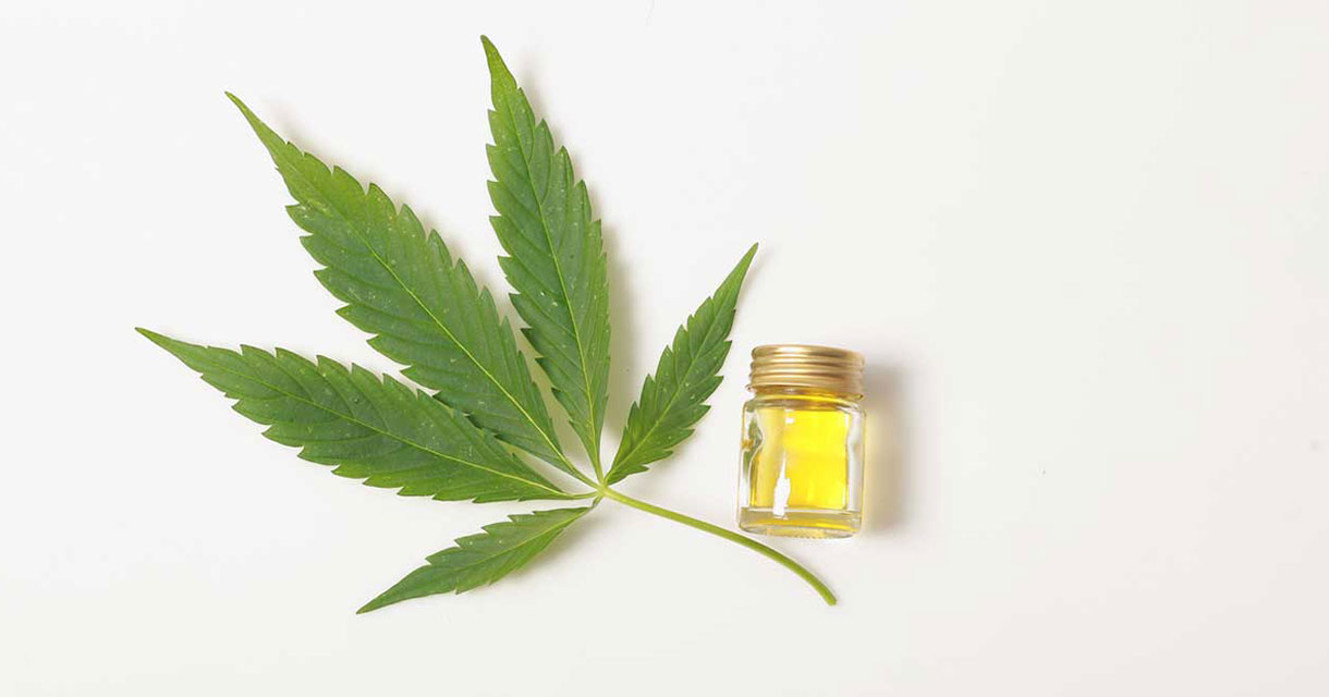 marijuana cannabis leaf next to a jar of oil on a white background