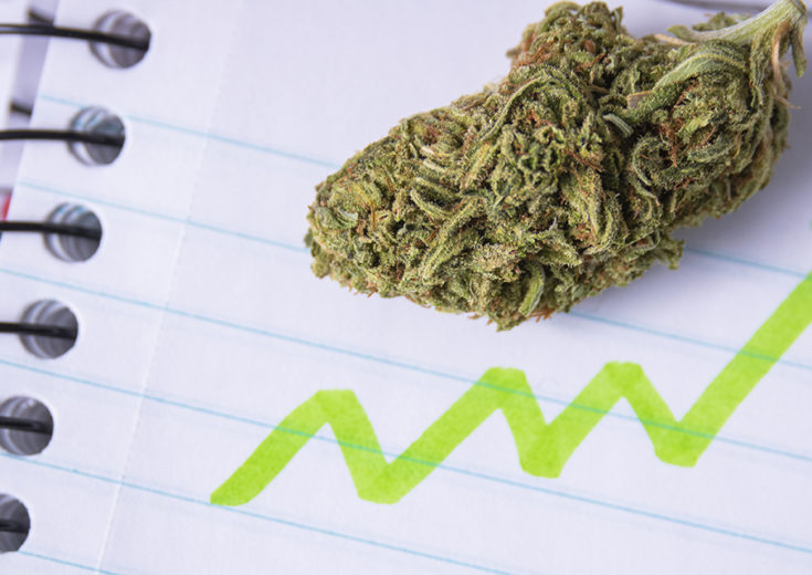 piece of cannabis on a piece of lined notebook paper, with a drawing of an upward moving stock arrow