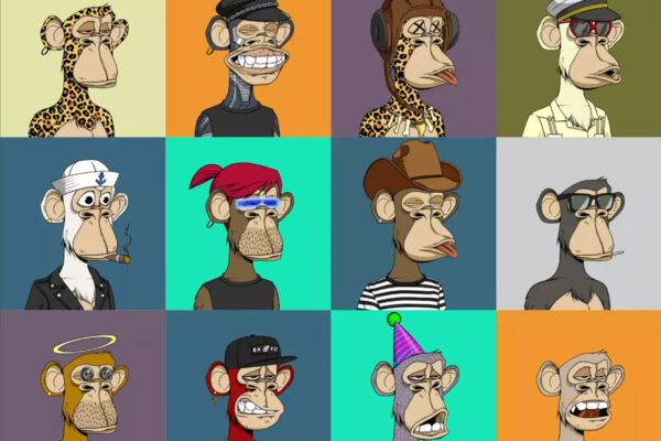 illustration of several different bored ape yacht club NFTs